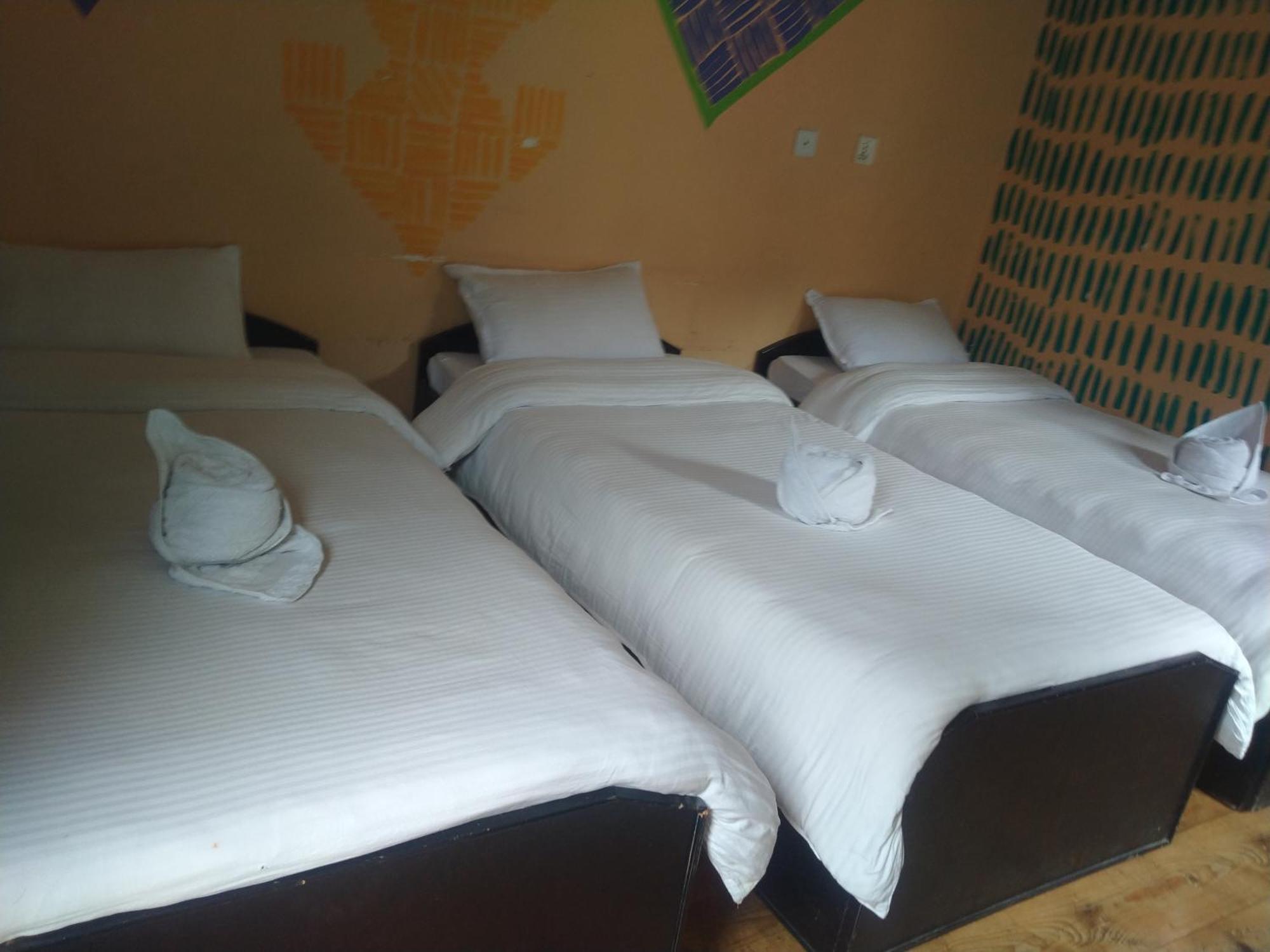 Pokhara Metro Eco Hotel Værelse billede